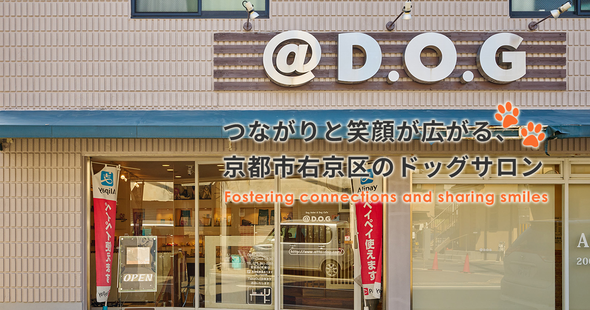 アットドッグ